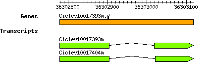 Ciclev10017393m.g.png