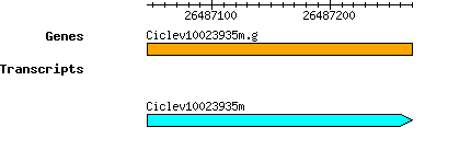 Ciclev10023935m.g.png