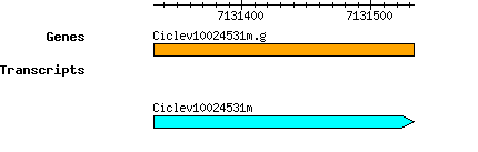 Ciclev10024531m.g.png