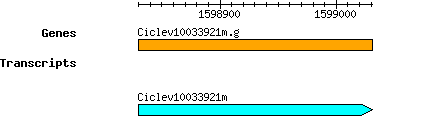 Ciclev10033921m.g.png