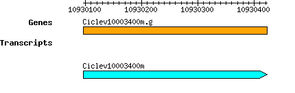 Ciclev10003400m.g.png
