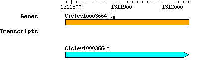 Ciclev10003664m.g.png
