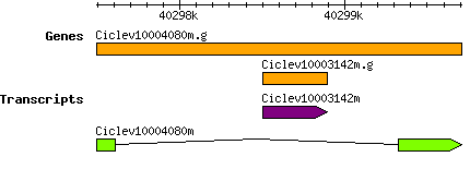 Ciclev10004080m.g.png
