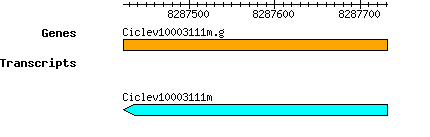 Ciclev10003111m.g.png