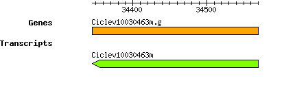 Ciclev10030463m.g.png