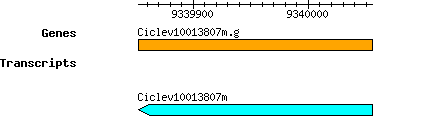 Ciclev10013807m.g.png