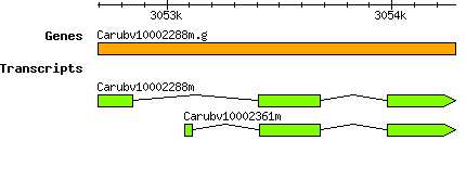 Carubv10002288m.g.png