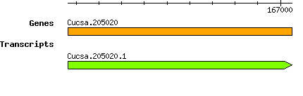 Cucsa.205020.png