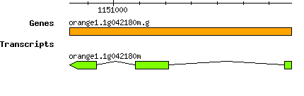 orange1.1g042180m.g.png
