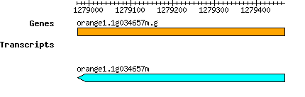 orange1.1g034657m.g.png
