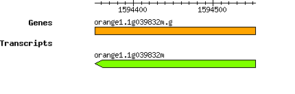 orange1.1g039832m.g.png