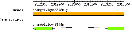 orange1.1g046648m.g.png