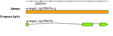 orange1.1g035607m.g.png