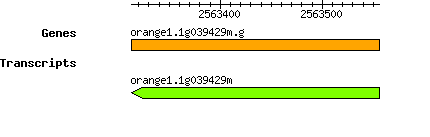 orange1.1g039429m.g.png