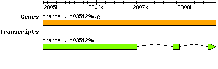 orange1.1g035129m.g.png