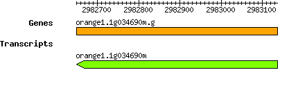 orange1.1g034690m.g.png