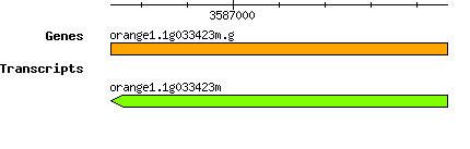 orange1.1g033423m.g.png