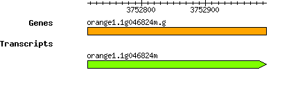 orange1.1g046824m.g.png