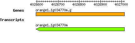 orange1.1g034770m.g.png