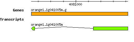 orange1.1g041005m.g.png
