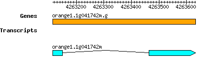 orange1.1g041742m.g.png