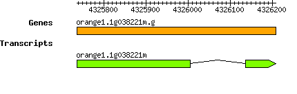 orange1.1g038221m.g.png