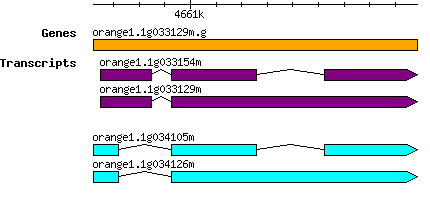 orange1.1g033129m.g.png