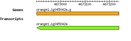 orange1.1g045042m.g.png