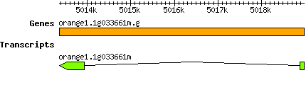 orange1.1g033661m.g.png