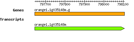 orange1.1g035148m.g.png