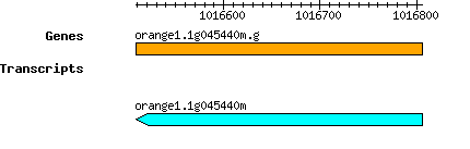 orange1.1g045440m.g.png