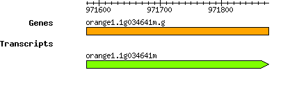 orange1.1g034641m.g.png