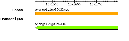 orange1.1g035033m.g.png