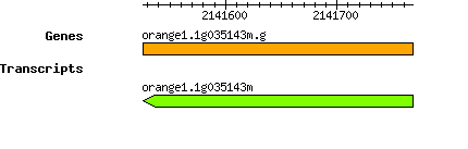 orange1.1g035143m.g.png