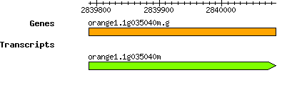 orange1.1g035040m.g.png