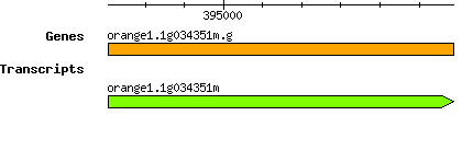 orange1.1g034351m.g.png