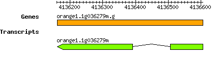 orange1.1g036279m.g.png