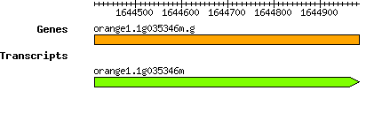 orange1.1g035346m.g.png