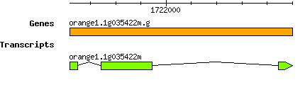 orange1.1g035422m.g.png