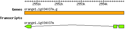 orange1.1g034037m.g.png