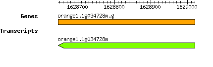 orange1.1g034728m.g.png