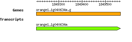 orange1.1g040634m.g.png