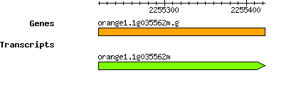 orange1.1g035562m.g.png