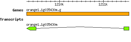 orange1.1g035430m.g.png