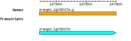 orange1.1g036027m.g.png