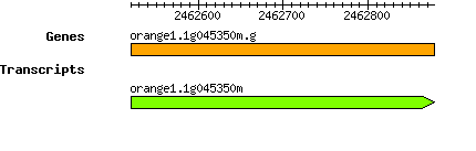 orange1.1g045350m.g.png