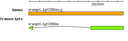 orange1.1g033961m.g.png