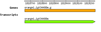 orange1.1g034488m.g.png