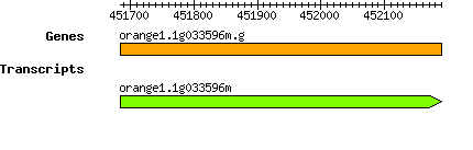 orange1.1g033596m.g.png