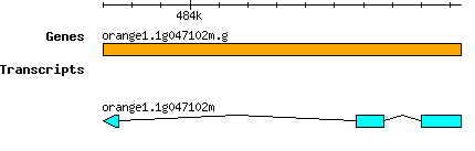 orange1.1g047102m.g.png